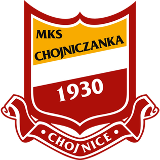 Team Logo